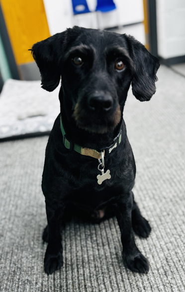 Buddy Oct 25