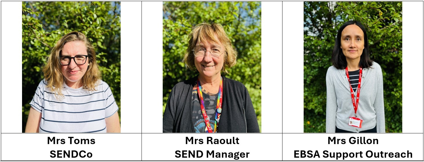 Meet the team